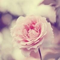 搞笑段子:说假话被雷劈