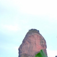 金毛最近最搞笑的一段视频,感觉它就像个孩子