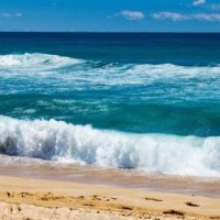 斗罗大陆: 史莱姆七怪背景最强的人,唐三不在其