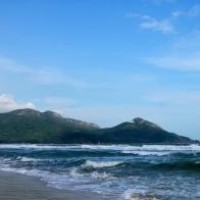 海豹看动漫 《妻子的谎言》原歌曲一首《傻得