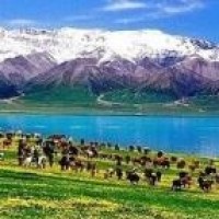 肖奈第一次拜见未来岳父岳母,贝微微的爸爸反