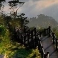 《学猫叫》竟上了《中国好声音》,而且谢霆锋