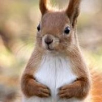 虎妈猫爸:这个姥爷够狠!为改正孩子吃饭问题,竟