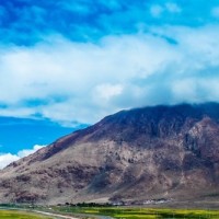 秦岚一身黑裙端庄优雅,阿Sa变迷妹同台后大喊