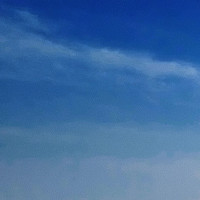 大虾别做水煮大虾了,厨娘教你新做法,下酒下饭