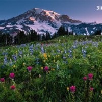 手机如何编辑wps免费视频教程文档Word技巧