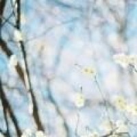 吴秀波和陈学冬合唱《南屏晚钟》,高音低音相