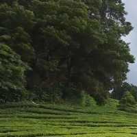 2018塞班岛旅游攻略,经典玩法推荐,带你从吃喝