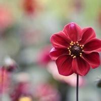 男子带古代穿越女逛商场,换上现代衣服,真美