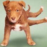 荣耀Note10官方爆料 麒麟970+微智核i7处理器