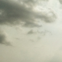 《延禧攻略》歌曲《宫墙柳》舞蹈片段来袭,这