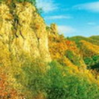 健身房搭讪清纯妹子雪心,这样的套路表白,妹子