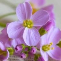 韩国人看中国女明星猜年龄,当看到她真实年龄