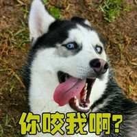 鹿鼎记粤语版,星爷的经典电影,真是百看不厌,台