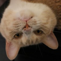 美女用手机看死亡视频,贞子竟从屏幕里爬出来