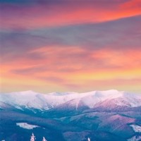 三高一大:年纪高、智商高、眼界高、脾气大;这