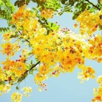 熊出没,光头强的秘密居然是小时候的照片,狗熊