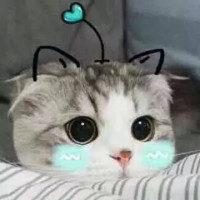 杨四郎的杨家枪对阵杨五郎的五郎八卦棍,俩人