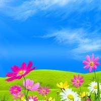 给猫闻榴莲,猫的反应绝了最后一个也太偏心了