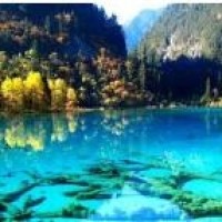 唐嫣全黑look现身机场,面露微笑美腿纤细修长