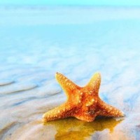 影《与神同行2》火热来袭,地狱使者等待千年获