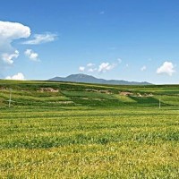 当年郑爽张翰分手小三插足?如今郑爽胡彦斌疑