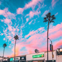 健身教程:带你走进健身房--健身器械正确的使用