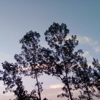 瘦肚子减肥操,瘦身操视频,坚持14天暴瘦10斤,5