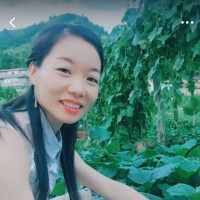 街头女艺人在公园边拉二胡边唱《红楼梦》主题