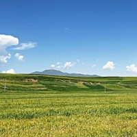 女子善良帮大姐找路,却错过了面试时间,谁成想