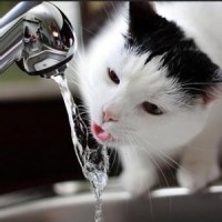 穿白裙小姐姐录抖音跳舞,劲爆至极