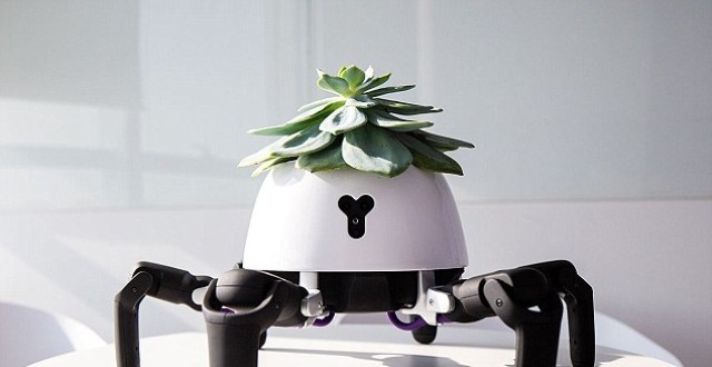 极好的科技最新文章