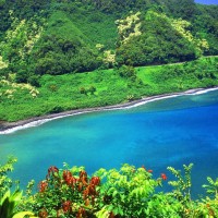 魏大勋爸爸太逗了,见着大勋马上就显摆李芯送