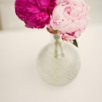 论何炅谢娜倒到底多默契!罗志祥维嘉都不得不