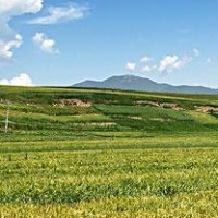 小姐姐染变色龙泥,采访熊三岁还捣乱不,真的太