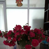 泰森巅峰时期KO集锦,从不补刀,KO完扭头就走