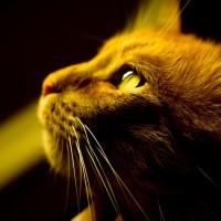 一首诚峰《结束了就算了吧》走心诠释伤感情歌