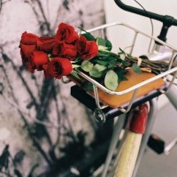 福利时间!我们一起学猫叫,这么软萌的喵咪见过