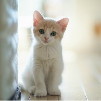 仙剑三主题曲《生生世世爱》,勾起多少回忆,超