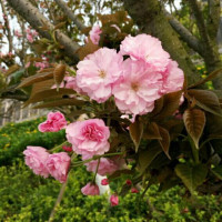 紫×邓伦」「我们的小世界」真人向互动混剪 