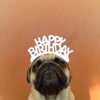 人心险恶,揭秘韩国上流社会人性自私与复杂,电