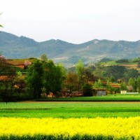 宝莲灯:杨戬暗恋嫦娥仙人,这一句玉树可谓是蕴