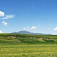 英雄联盟:改版后赵信打野这样玩