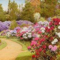 女朋友热舞录抖音,网友红色高跟鞋诱人