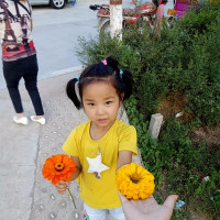 袁春望阻止璎珞嫁给皇上!魏璎珞:你想阻止我变