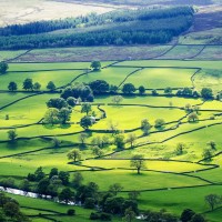 女老师上课偷偷这样,情何以堪?我都不好意思看