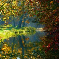 大蛇丸洗白后各种场景乱入,大和好可怜,全程没