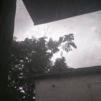 和狗同吃一块西瓜,姑娘你真不怕得狂犬病啊!