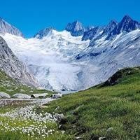 第五人格:小草莓为救芒果费尽心思,没想到结局