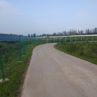 迷你世界:幸运神奇宝贝,小铃铛好厉害,木鱼神兽